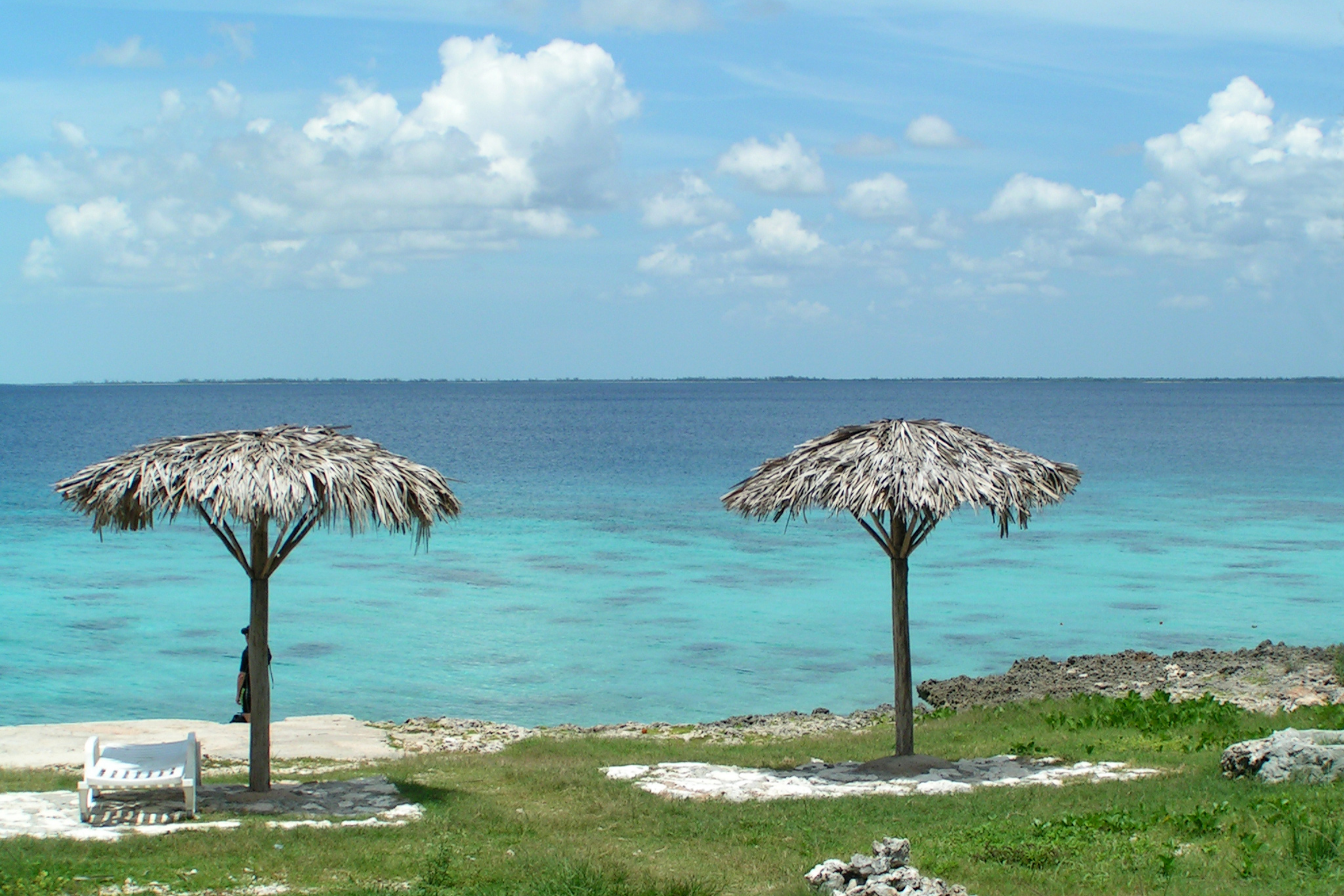 bay of pigs.webp